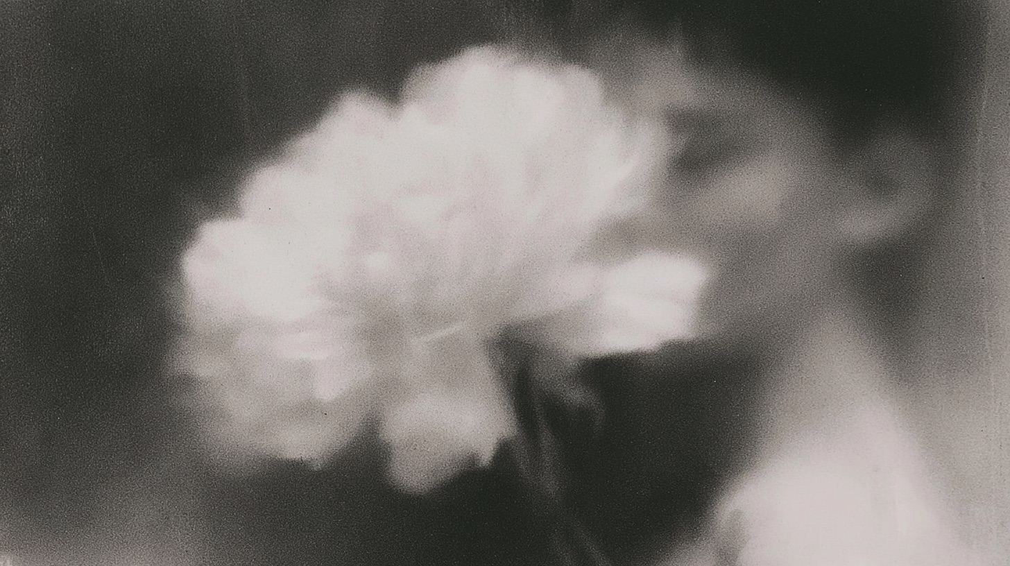 ghost flowers
