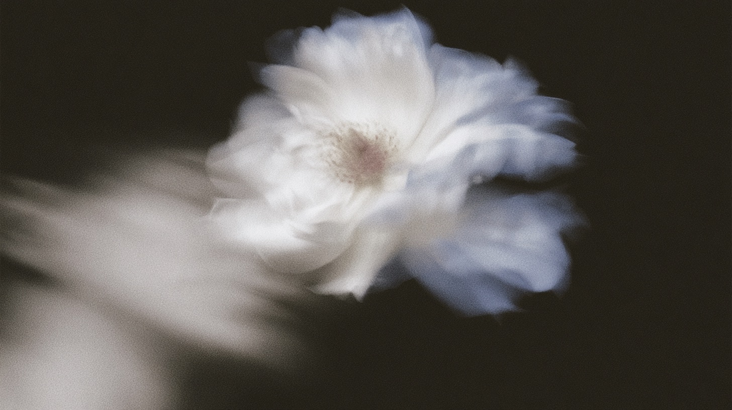ghost flowers