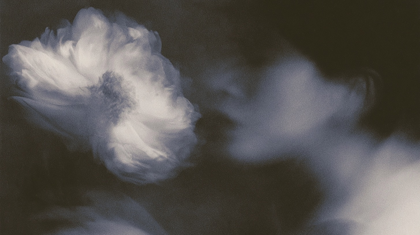 ghost flowers