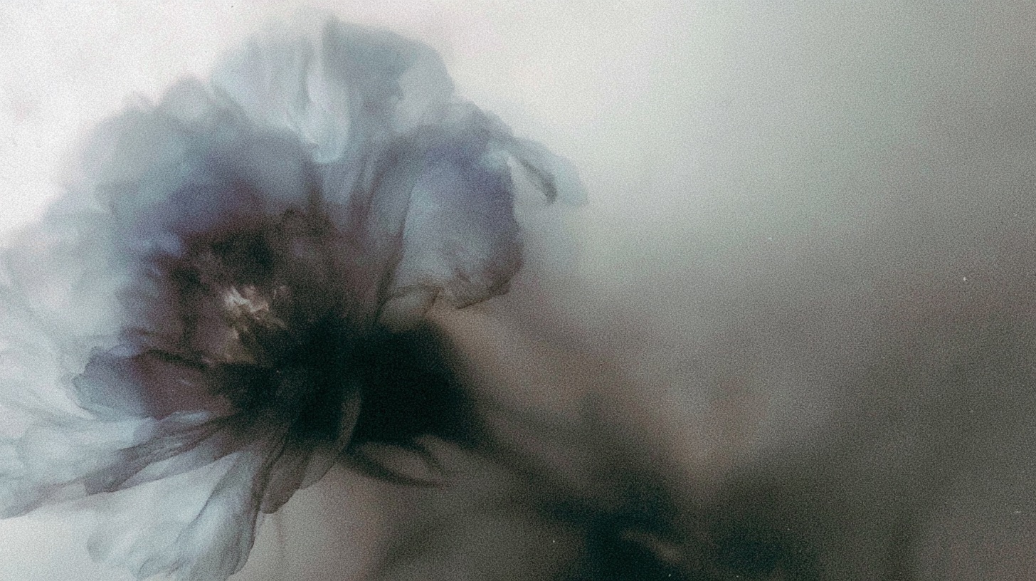 ghost flowers