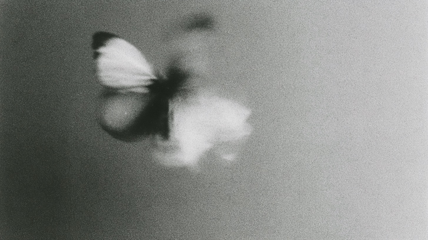 ghost flowers