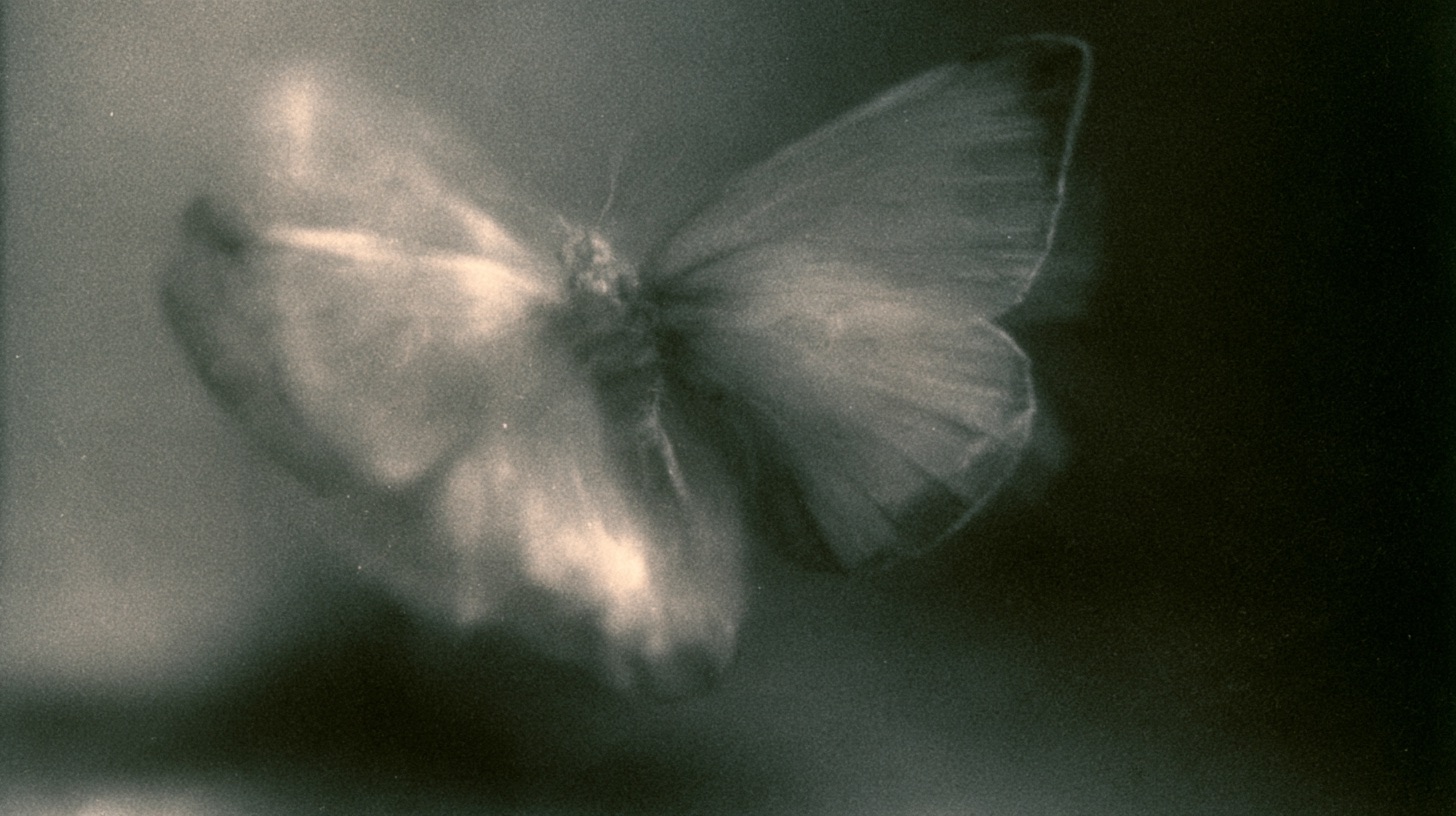 ghost flowers